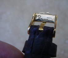 Corum5gr11