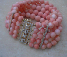brac.CoralDia14K1