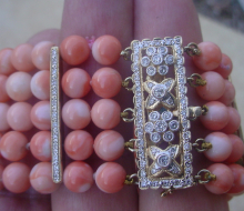 brac.CoralDia14K2